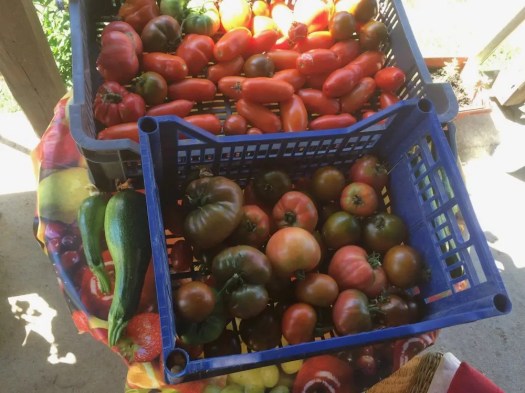 Een piepklein deel van de opbrengst. Maar wat een heerlijkheden.