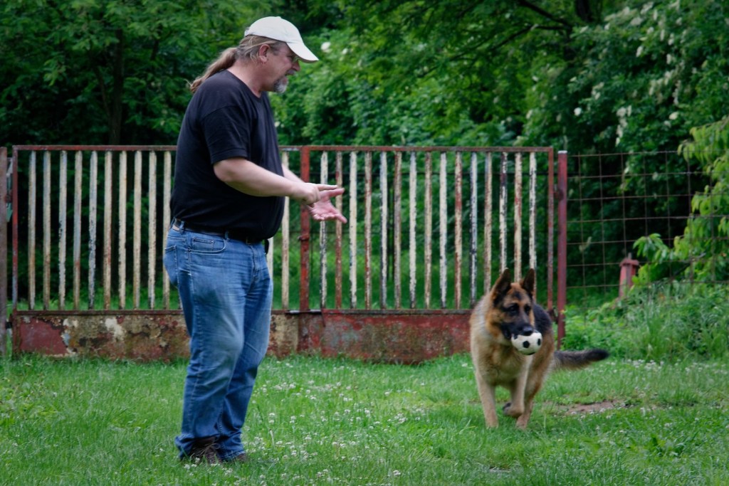Nero tijdens de gewenningsperiode met zijn nieuwe baasjes. En het afscheid van zijn oude bazin.