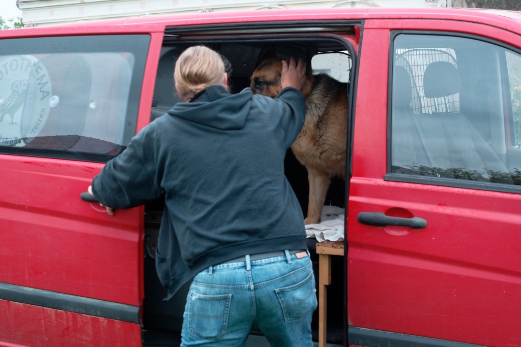 Nero onderweg naar zijn nieuwe bestemming waar hij twee dagen later aan zou komen.